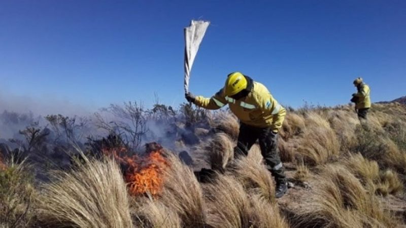 Récord de Incendios forestales durante el fin de semana