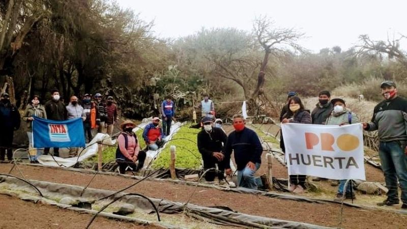 El municipio de San José apuesta a producir alimentos sanos