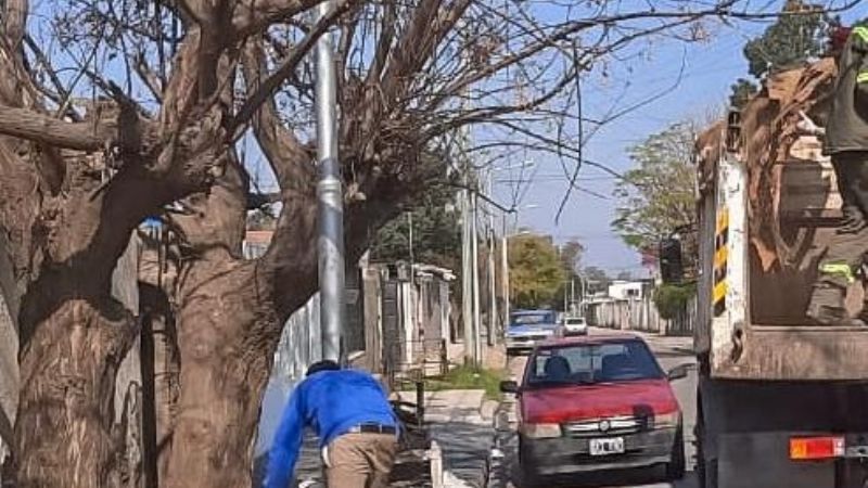 Cronograma de descacharrado en los barrios