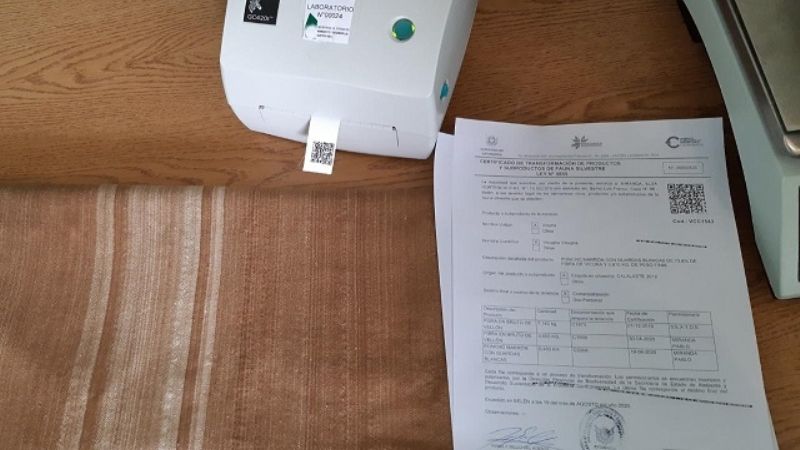 El Departamento de Manejo de Vicuña en Belén