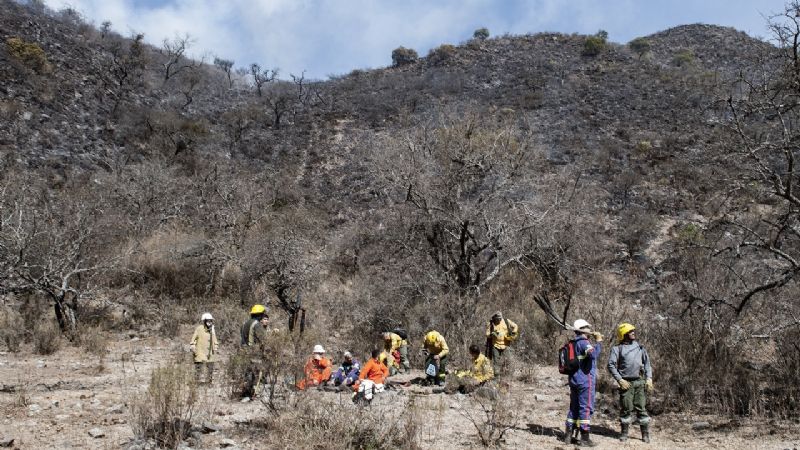 Brigadistas desplazaron las tareas a El Tala