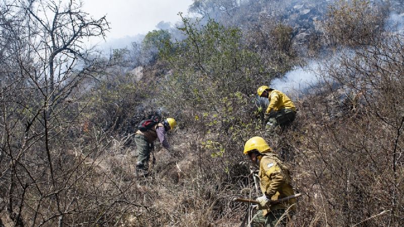 Brigadistas desplazaron las tareas a El Tala