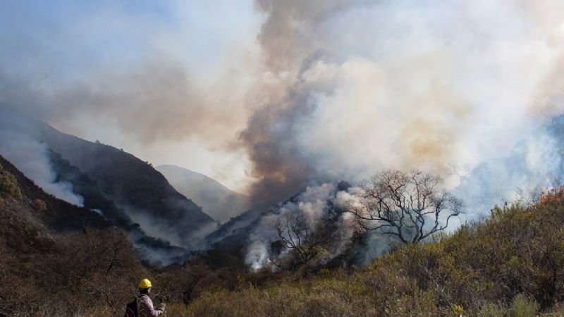 Brigadistas desplazaron las tareas a El Tala