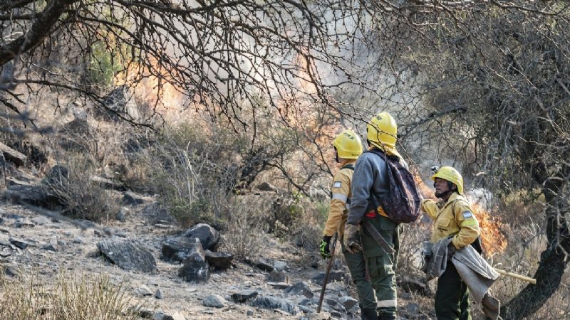 Brigadistas desplazaron las tareas a El Tala