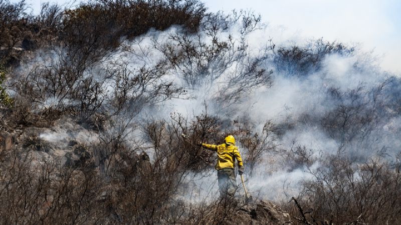 Brigadistas desplazaron las tareas a El Tala