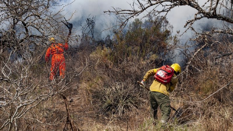 Brigadistas desplazaron las tareas a El Tala