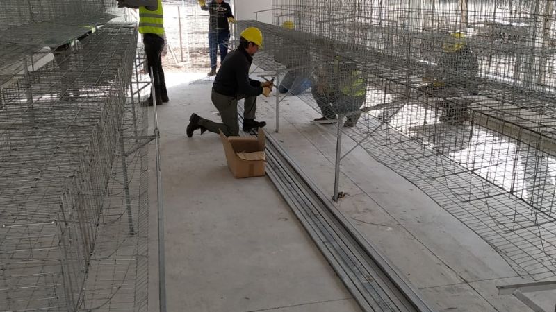 Arribó a Catamarca el cargamento con gallinas para iniciar cuatro polos avícolas