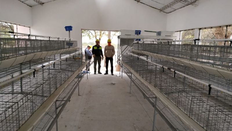 Arribó a Catamarca el cargamento con gallinas para iniciar cuatro polos avícolas