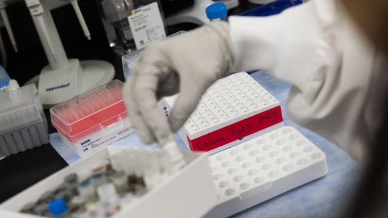 Científicos argentinos descubrieron por qué el coronavirus evade respuestas inmunes