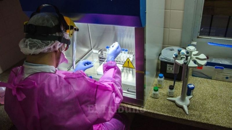 En Salta se confirman 80 nuevos casos