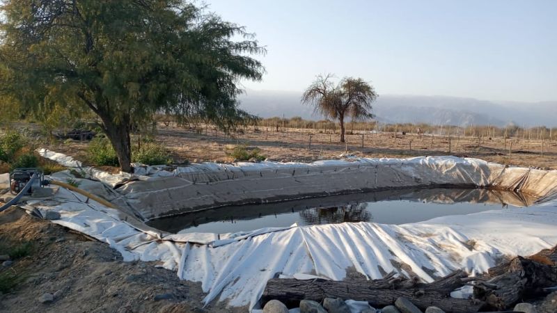 Preocupación de productores de El Pajonal