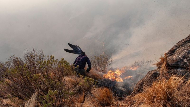 Los incendios forestales no dan tregua