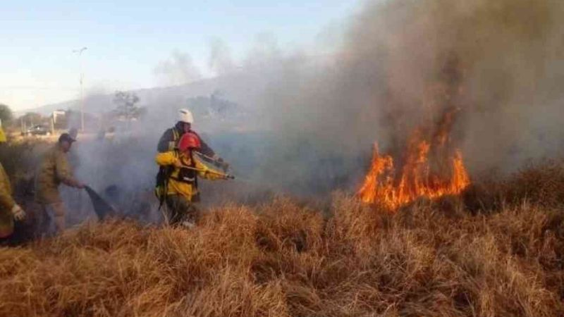 Incendios: “Son un síntoma de los daños mayores en nuestros ecosistemas”