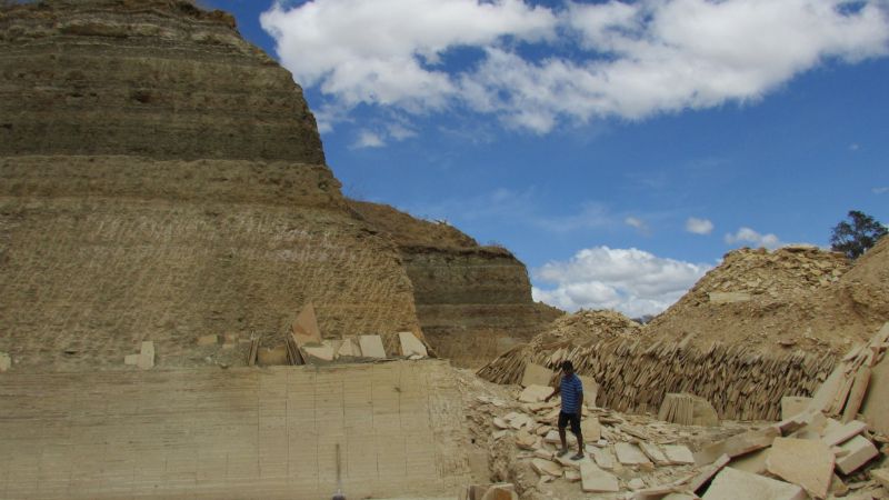 Descubren una nueva especie de rana de 119 millones de años