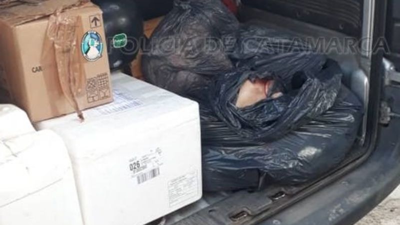 Decomisan animales faenados