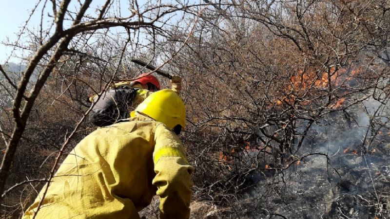 Brigadistas y una lucha sin fin: no cesan los incendios forestales
