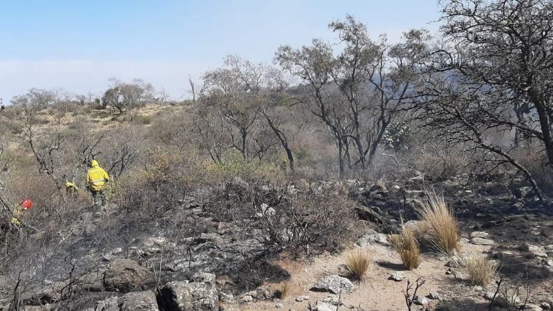 Brigadistas y una lucha sin fin: no cesan los incendios forestales