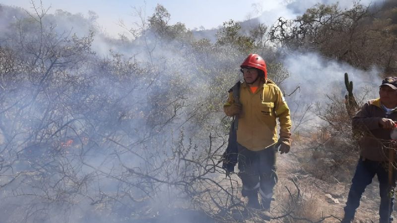 Brigadistas y una lucha sin fin: no cesan los incendios forestales