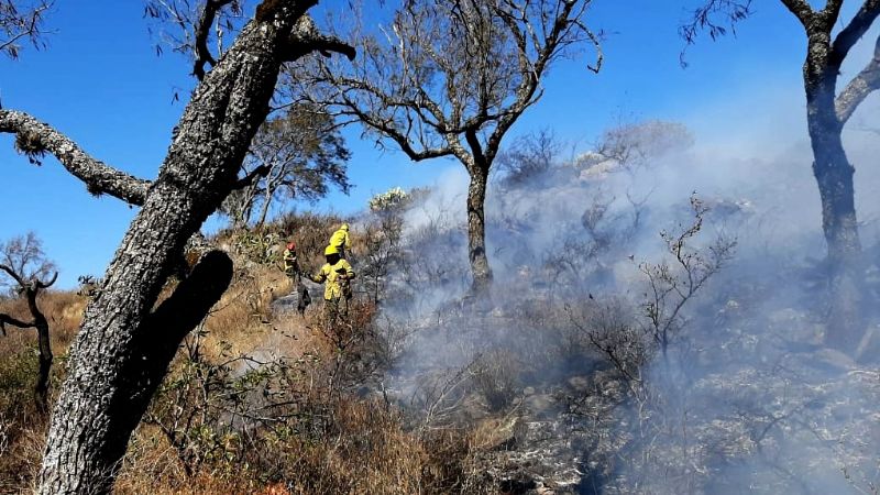 Brigadistas y una lucha sin fin: no cesan los incendios forestales