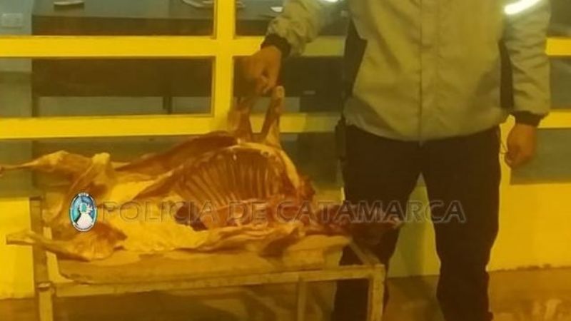 Decomisan cabritos faenados