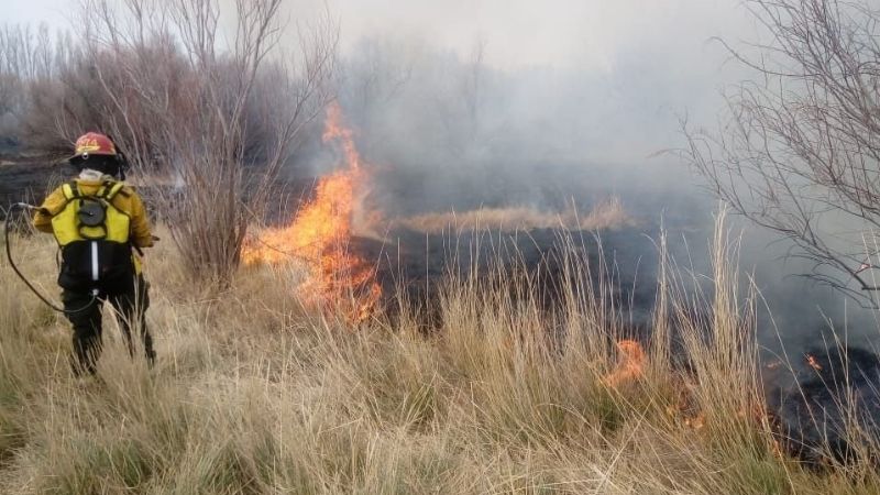 Bomberos apagaron un incendio de pastizales en la Capital