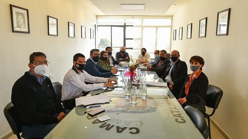 Aportes para la reforma de la Constitución