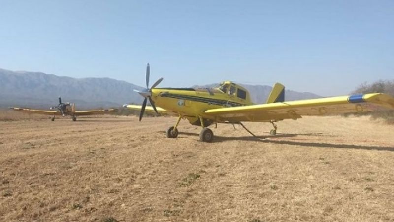 Trabajan en la extinción de incendios forestales
