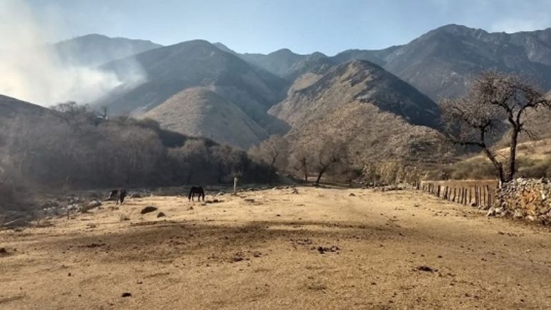 Trabajan en la extinción de incendios forestales