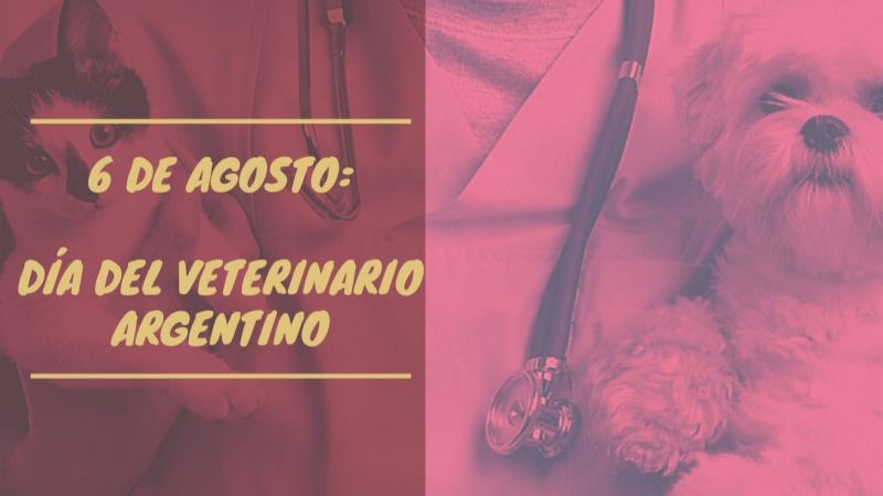 6 de agosto: Día del Veterinario Argentino