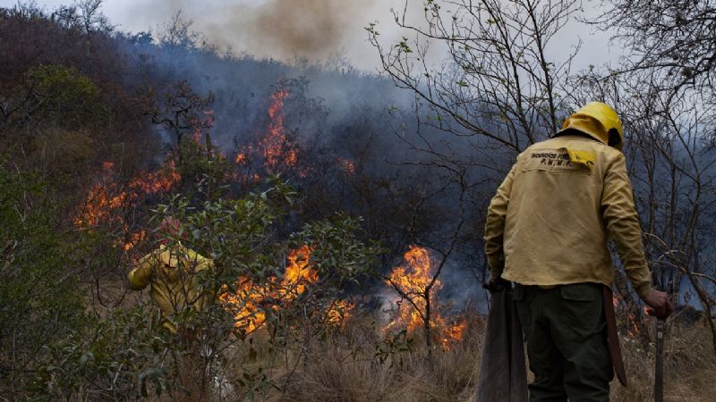 Brigadistas y baqueanos logran frenar el avance del incendio en Ancasti