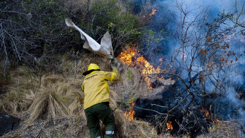 Brigadistas y baqueanos logran frenar el avance del incendio en Ancasti