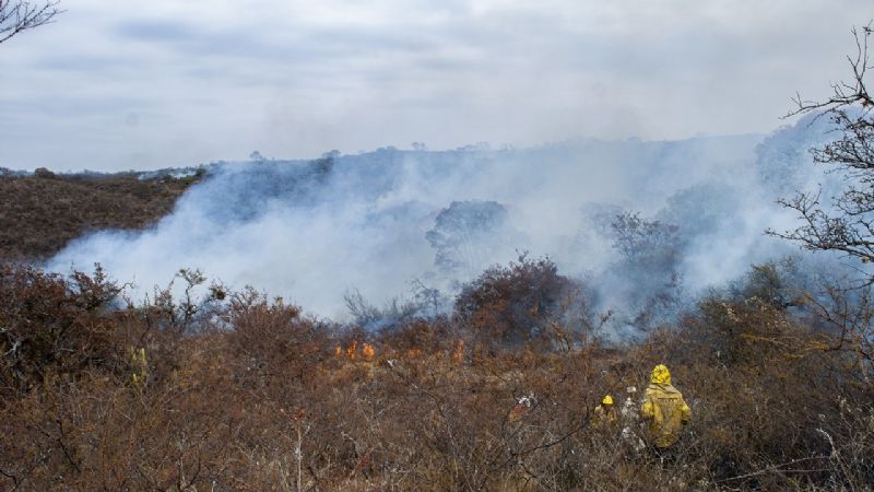 Brigadistas y baqueanos logran frenar el avance del incendio en Ancasti