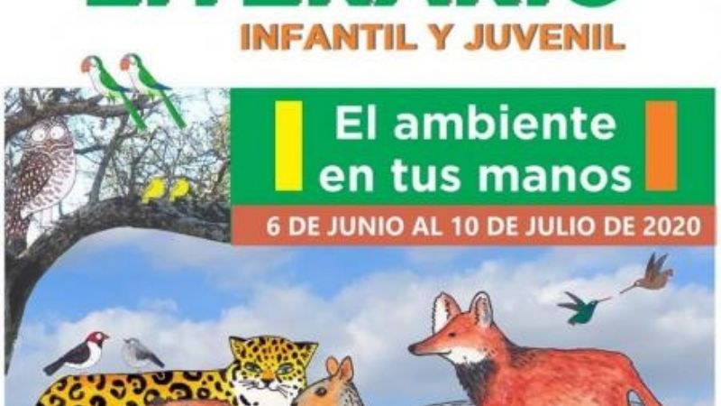 Pequeños autores catamarqueños ganaron concurso nacional infantil