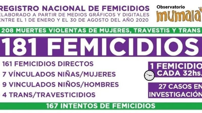 Hubo 181 femicidios en lo que va del año en la Argentina