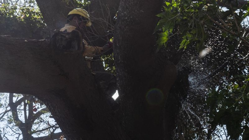Contienen incendios en Banda de Varela y Ruta Nacional N°38