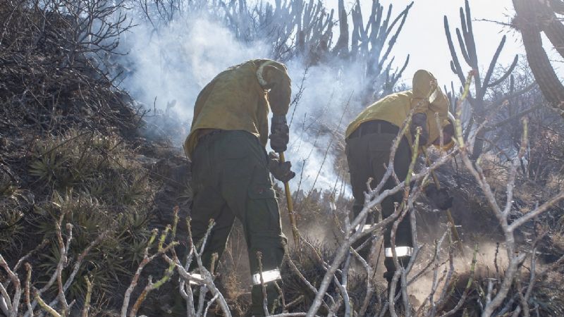 Contienen incendios en Banda de Varela y Ruta Nacional N°38