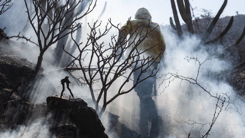 Contienen incendios en Banda de Varela y Ruta Nacional N°38