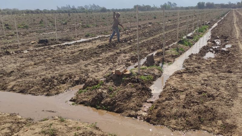 Articulación para tecnificar las colonias de productores en Capayán