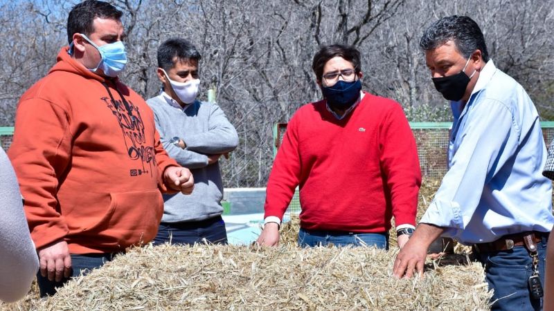 Articulación para tecnificar las colonias de productores en Capayán