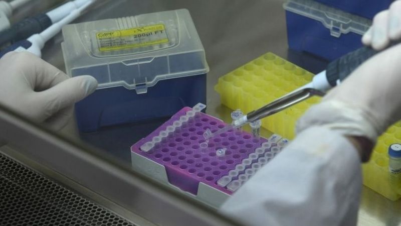 Argentina: confirman 58 nuevas muertes