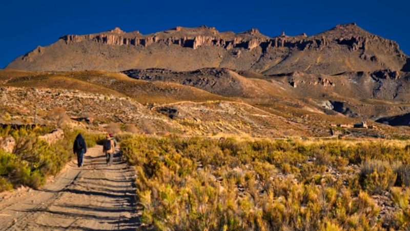 Investigadores estudian las sociedades de la Puna jujeña