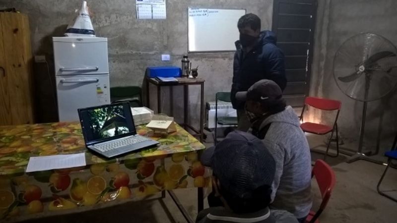 Comienza la campaña contra Carpocapsa