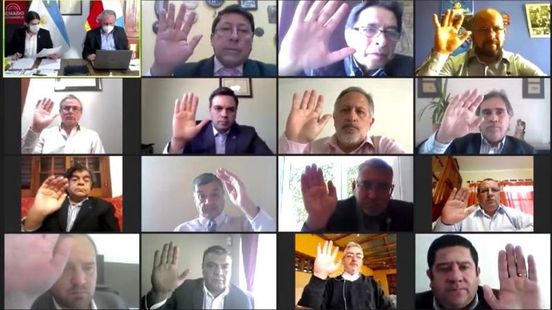 El Senado sesionó en forma remota