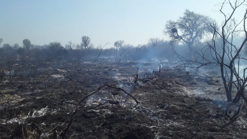 Se registraron diversos incendios en el interior provincial