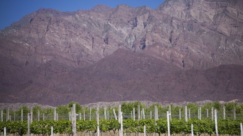 Catamarca presentará su oferta enoturística