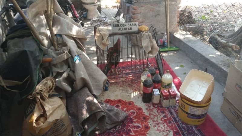 Secuestran un gallo de riña y otros elementos en Santa Rosa