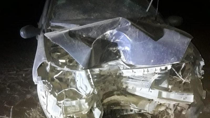 Perdió el control del auto y chocó contra un árbol