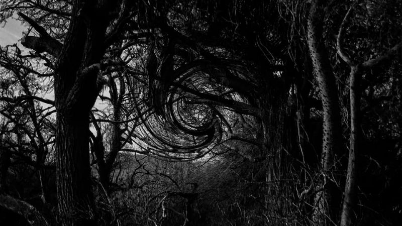 Visiones, un proyecto fotográfico que nació en tiempos de pandemia