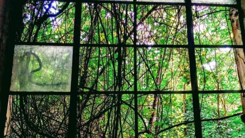 Visiones, un proyecto fotográfico que nació en tiempos de pandemia