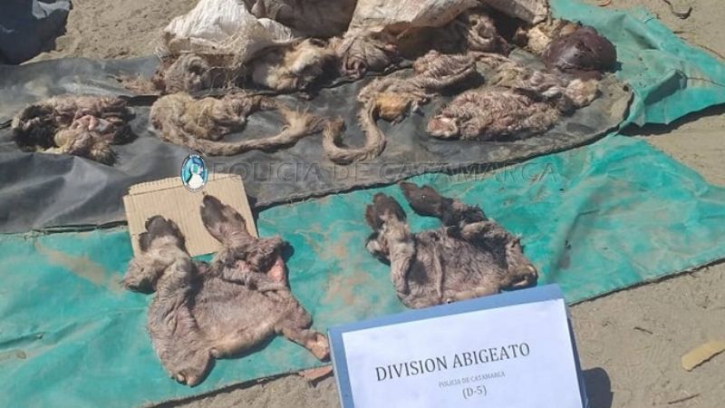 Esclarecen robo en una Escuela de Capayán